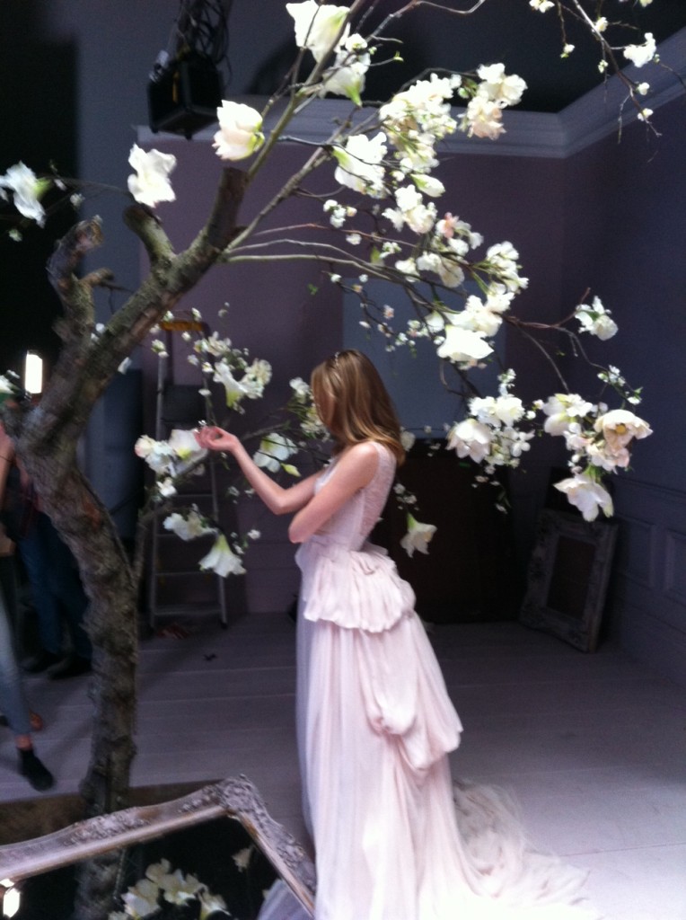 photo1